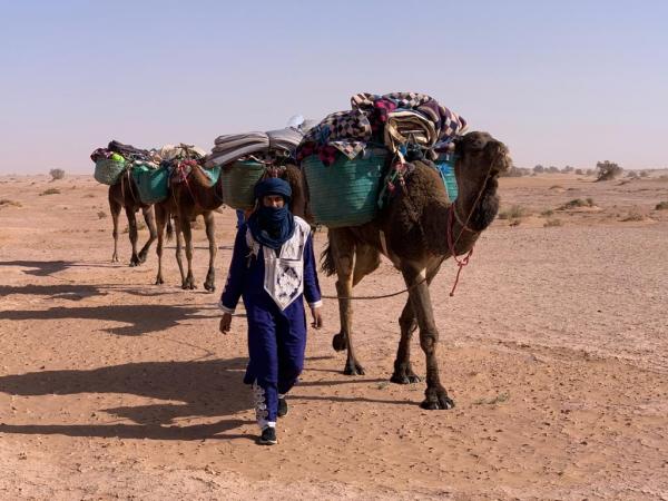 randonnée dromadaire désert Maroc, séjour desert Mhamid maroc,randonnée désert chegaga, bivouac chegaga desert