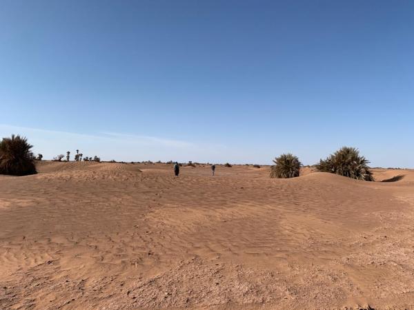 randonnée dromadaire désert Maroc, séjour desert Mhamid maroc,randonnée désert chegaga, bivouac chegaga desert