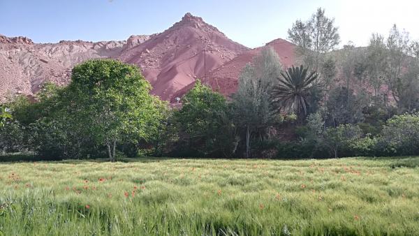 randonnées vallée, randonnée vallée du rose, randonnée magouna Maroc, séjour vallée du rose, trek vallée du rose, rando vallée des roses