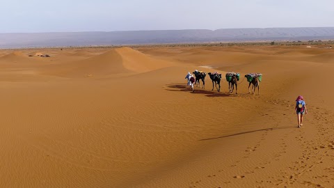 randonnee desert maroc en dromadaire, desert maroc en dromadaire, randonnee dans desert maroc, randonnee dans desert en dromadaire, rando desert maroc