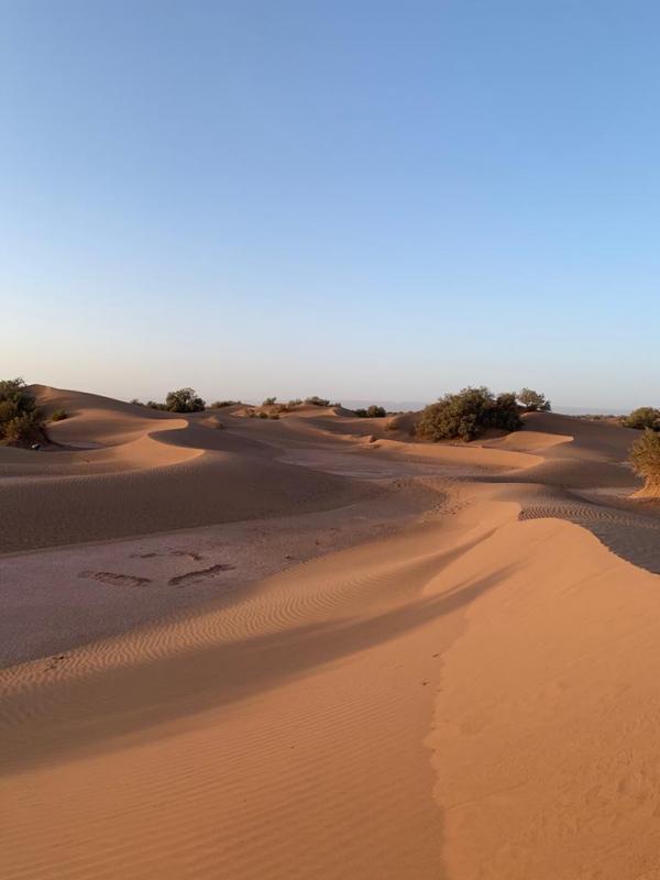 La grande traverse du desert (8 jours dans desert) : Randonn?e dromadaire desert Maroc, sejour desert Mhamid maroc,Randonn?e D?sert chegaga, bivouac chegaga desert