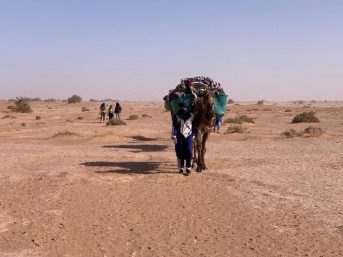 La boucle Sacree  : fiche technique desert maroc, randonnee boucle de desert, voyage desert maroc sacree, randonnee desert maroc 7 jours, 7 jours randonnee desert maroc