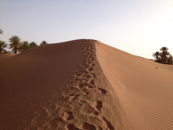 Chez L'habitant : chez l'habitant , Excursion chez lhabitant maroc, circuit desert chez l'habitant, voyage desert chez lhabitant, bivouac chez l'habitant maroc