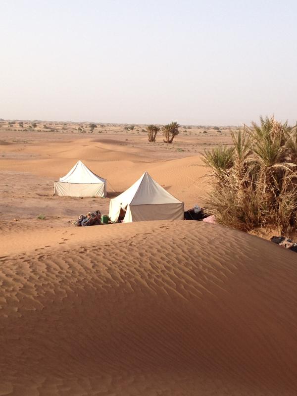 Une Nuit dans le desert du Mhamid : une nuit dans desert, nuit au desert, nuit desert maroc, nuit desert mhamid, nuit bivouac desert, nuit dans le desert; nuit à mhamid, nuit desert