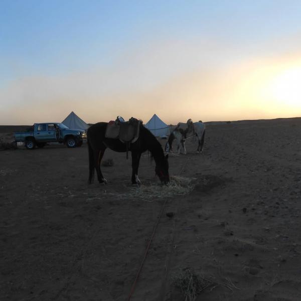 Day trip in desert Mhamid-erg lihoudi-erg chigaga : excursion desert Moroccomhamid, camp chegaga desert morocco tours, erg chigaga morocco tours, tour erg chigaga , erg chegaga tour, day4by4 erg chegaga