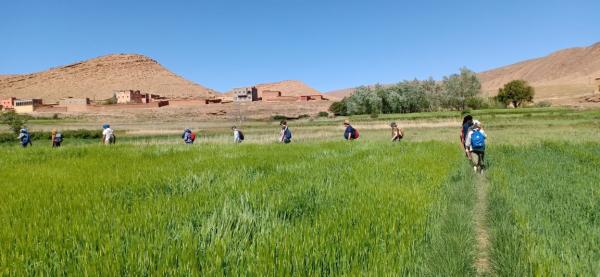 Randonnee 5 jours dans la vallee d'imlil.  : randonneehaut atlas, randonnee imlil, randonnee vallee d'imlil, sejour atlas maroc, trek dans l'atlas maroc, randonnée toubkal imlil, rando imlil