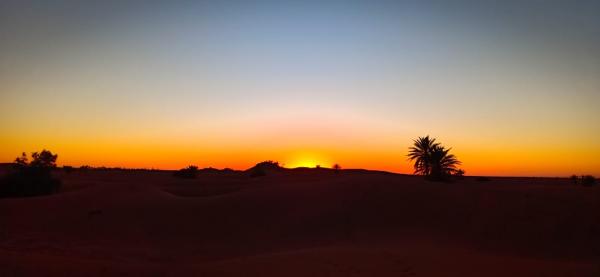 Comment rejoindre Caravane Renard Du Desert Maroc : Prsentation caravane renard du desert, caravane renard D?sert  agence maroc, sejour desert maroc, caravane desert maroc, caravane renard du desert